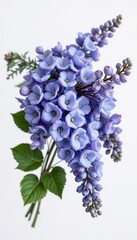 Sophisticated bouquet of wisteria in a minimalist style, using light indigo and silver shades, clean curves, balanced forms, elegant aesthetic, high resolution