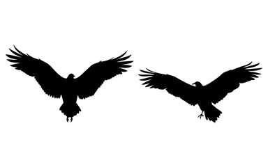 Obraz premium Set of flying andean condors full black silhouette vector illustration design