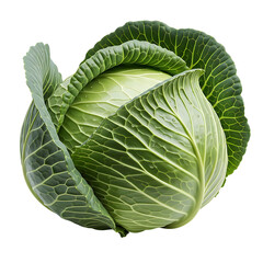 Fresh green cabbage head close up healthy eating vegetable ingredient for salad and cooking recipes on transparent background