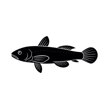 cavefish vector silhouette