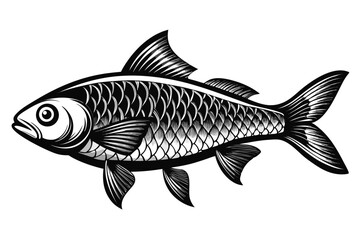 Hand Drawn Engraving Style Fish Illustration Black and White