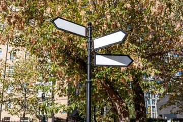 Blank Street Signs on a Sunny Autumn Day