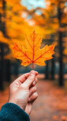 Best loyalty programs for autumn business, keeping customers engaged