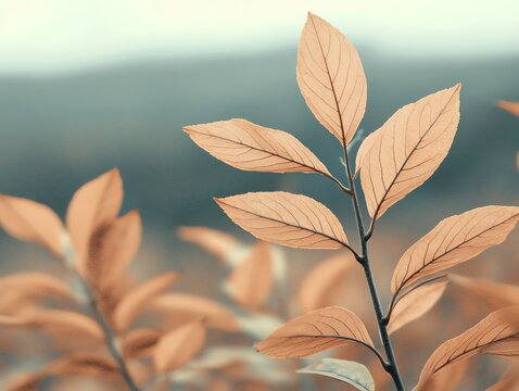 The role of video marketing in autumn sales campaigns and brand storytelling