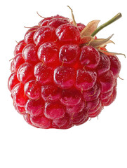 A single ripe raspberry fruit isolated on transparent background