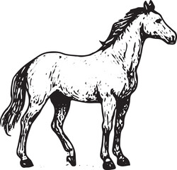 Obraz premium A black and white detailed illustration of a standing horse with a flowing mane and tail, showcasing intricate shading and texture in a realistic style