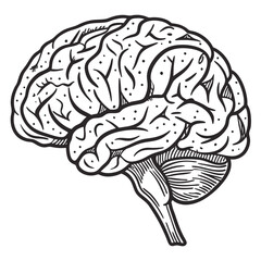 Brain with halftone stipple effect vector	