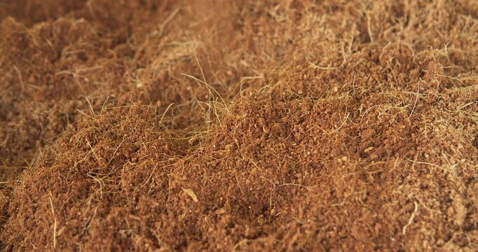 close up of cocopeat