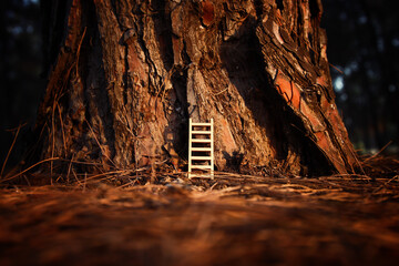 Concept image of small ladder against tree trunk. Idea of growing and climbing up