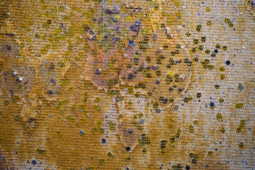 Bold handmade abstract painting featuring layered brushstrokes, expressive textures, and rich color...