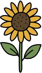 sunflower vector illustration