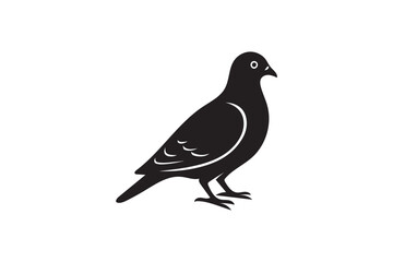 Fototapeta premium Pigeon silhouette on white background.02