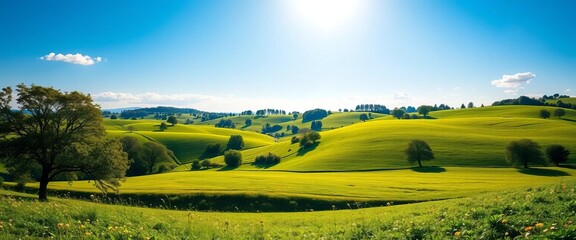 Naklejka premium Sunny summer countryside scene; rolling hills, lush green meadows, scattered trees, blue sky, idyllic rural landscape , nature, illustration