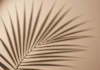 Palm shadow creates a subtle texture against a beige wall Minimalist and calming aesthetic