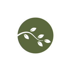 Stylized branch logo vector and symbol