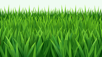 green grass on white background