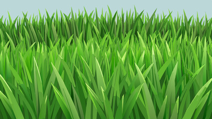 green grass background