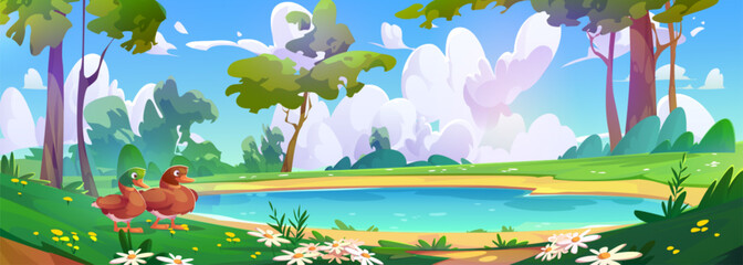Fototapeta premium Duck couple stand by lake shore in forest with daisies bloom on grass meadow, tall trees surround blue water, fluffy clouds. Bright summer landscape with birds near peaceful pond for nature scenes.