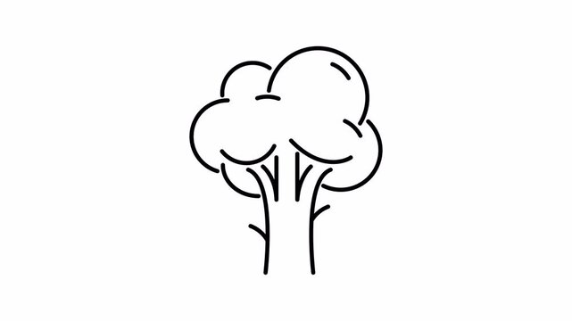 tree logo sign icon line animation video footage