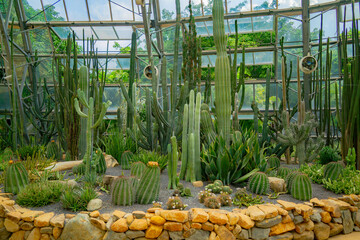 A pavilion with cacti.

The flora of the desert. Domed glass pavilion. Vinpearl Amusement Island...