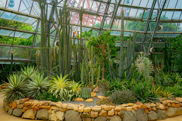 A pavilion with cacti.

The flora of the desert. Domed glass pavilion. Vinpearl Amusement Island...