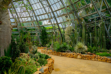 A pavilion with cacti.

The flora of the desert. Domed glass pavilion. Vinpearl Amusement Island...