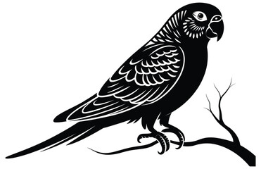 Obraz premium Parakeet Silhouette Vector – Elegant Black Bird Illustration