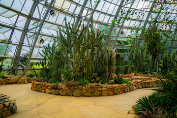 A pavilion with cacti.

The flora of the desert. Domed glass pavilion. Vinpearl Amusement Island...