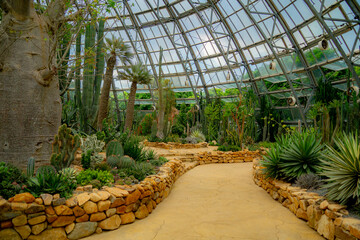 A pavilion with cacti.

The flora of the desert. Domed glass pavilion. Vinpearl Amusement Island...