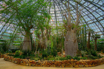 A pavilion with cacti.

The flora of the desert. Domed glass pavilion. Vinpearl Amusement Island...