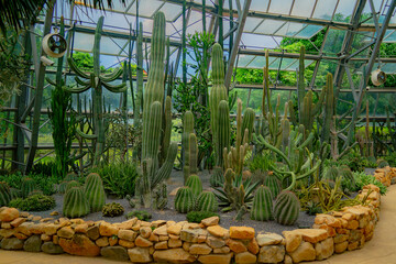 A pavilion with cacti.

The flora of the desert. Domed glass pavilion. Vinpearl Amusement Island...