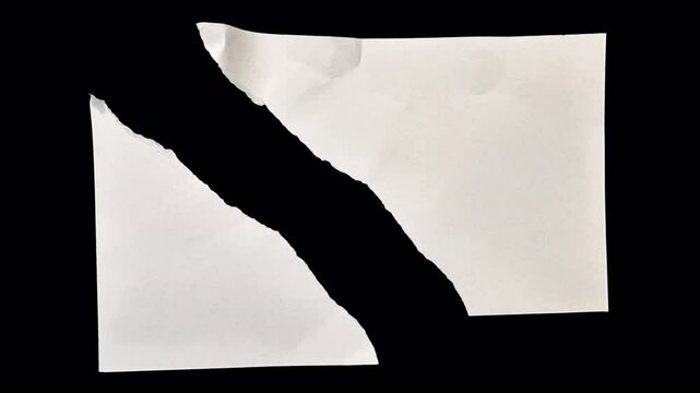 Clean flat photo size paper torn apart in a stop-motion. 4:3 Textured, organic backgrounds, design overlays, craft visuals, transparent alpha channel bg, Style 42 diagonal half cut