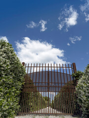 Wrought iron gate between flowering hedges of jasmine under a clear sky