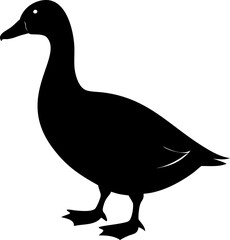 Cute black duck illustration isolated for stock use