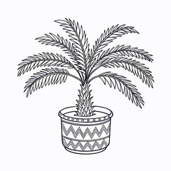 palm tree vector illustration