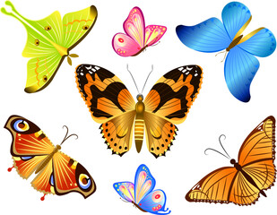 butterflies set