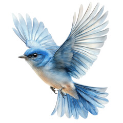 Obraz premium Watercolor style depiction of a blue bird isolated on transparent background