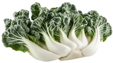 Bok choy with white crunchy base and green leafy top, compact bundle, Transparent background, PNG file