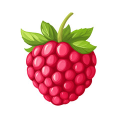 2D flat Raspberry Slice vector illustration, isolated on a white background.