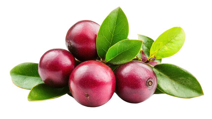 Camu camu berries with small reddish skin and high vitamin C, Transparent background, PNG file