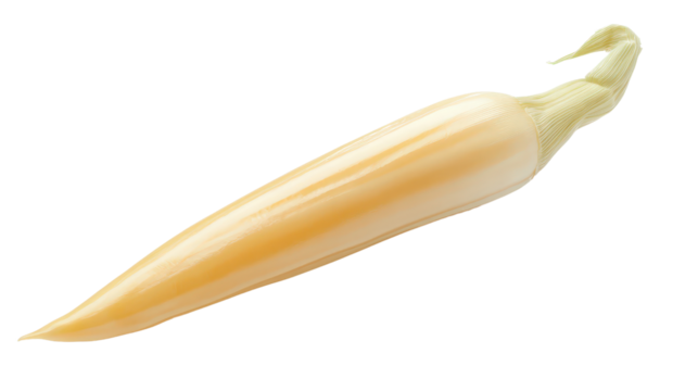 Baby corn, whole piece with pointed tip and light yellow color, Transparent background, PNG file