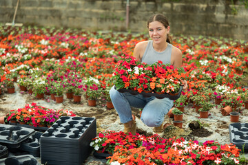 Portrait of positive girl with a tray of flowers Balsaminaceae genus in her hands in a large...