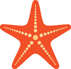 starfish flat illustration