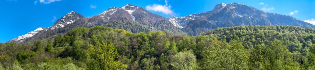 A mountain range with snow on the top and green trees in the foreground