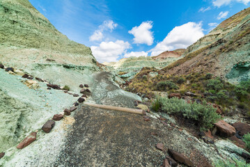 Trail Through Blue Colored Mountains