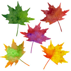 Watercolor Autumn Clipart Set with Pumpkins, Leaves and Fall Elements.Hand-painted Fall Season Collection with Vegetables, Leaves and Garden Decor.