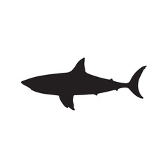 Shark silhouette