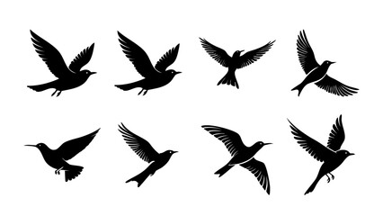 Silhouette of a isolated bird flying