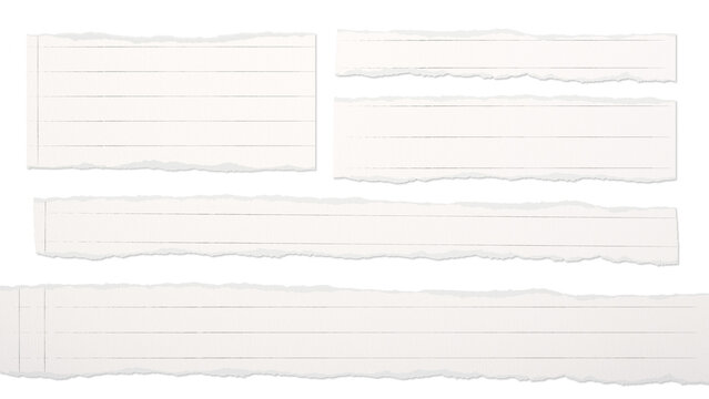 破れた紙（罫線あり）のテロップベースパック　影付き　背景透過