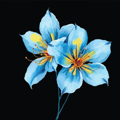 blue and white flower on black background
